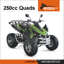 ROAD LEGAL ATV QUADS BIKE 250CC EEC APPROVED